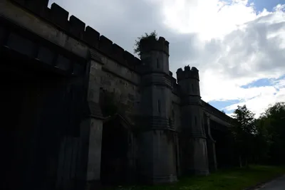 DSC_2683 (Large).JPG